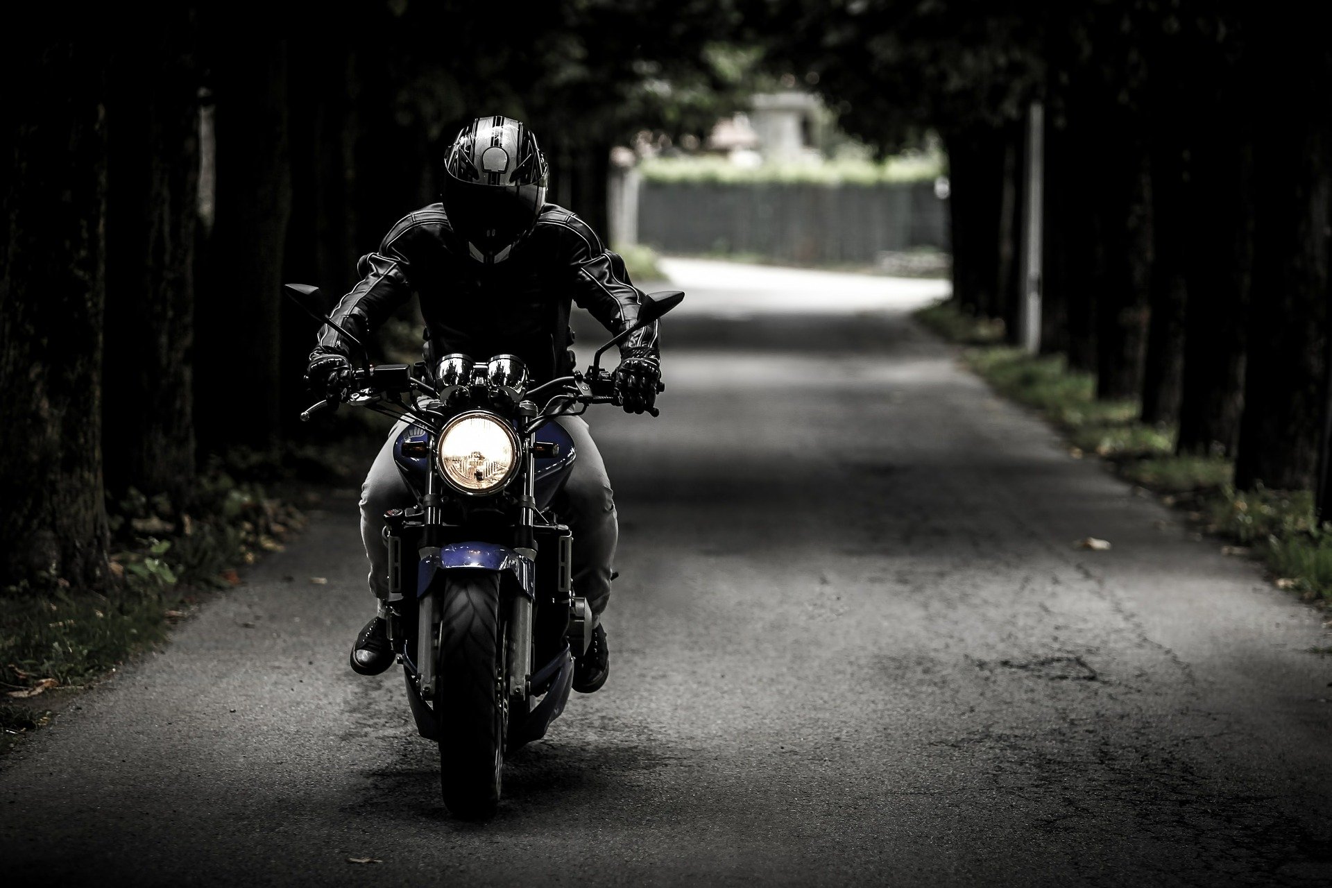 100日後に死ぬワニ最終回考察まとめ 轢いた犯人は誰 ネズミさんのバイクの可能性